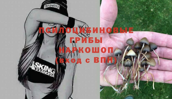 каннабис Беломорск