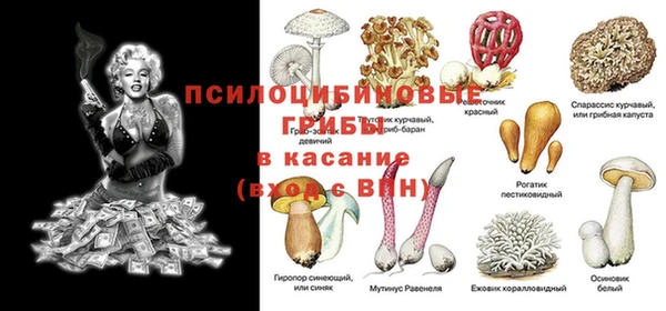 MDMA Богородицк