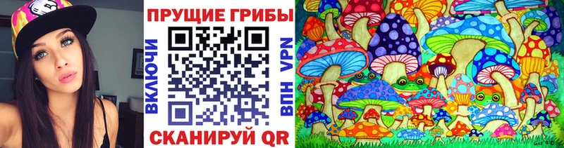 даркнет сайт  Бобров  Галлюциногенные грибы Psilocybe 